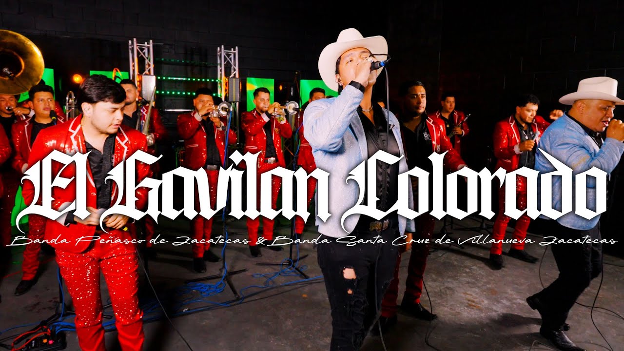 El Gavilan Colorado - Banda Peñasco de Zacatecas & Banda Santa Cruz de Villanueva Zacatecas