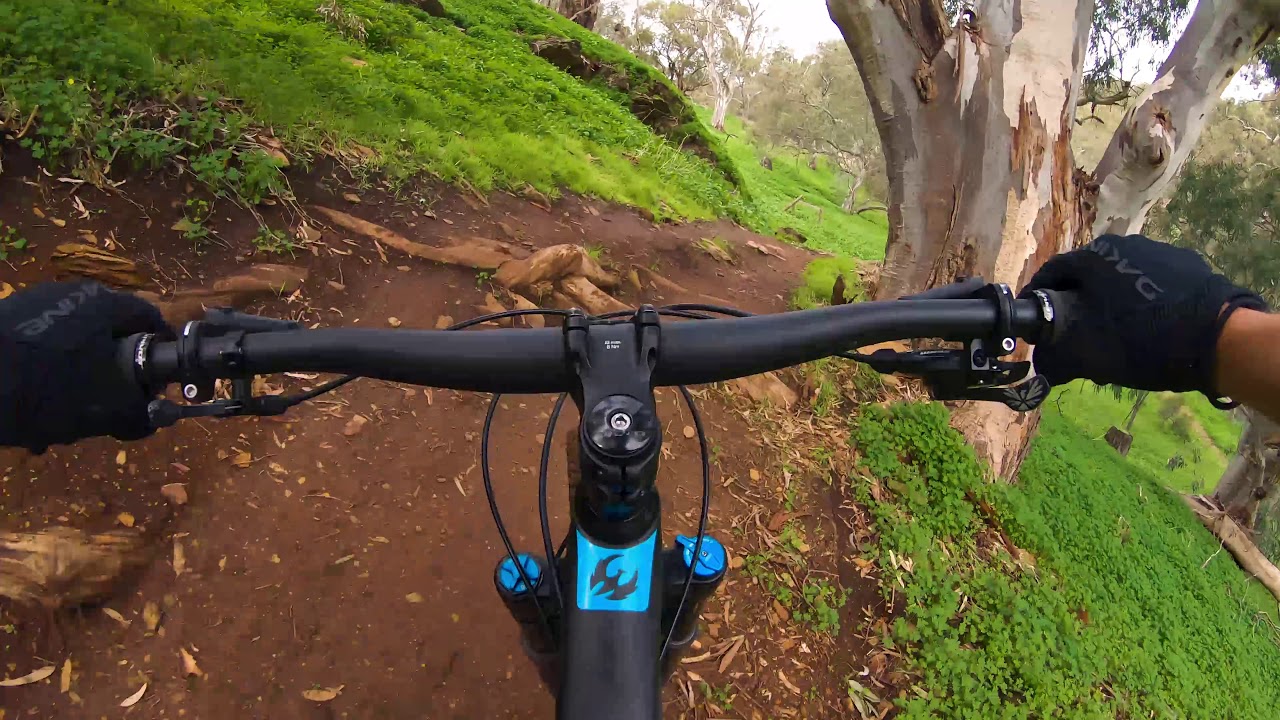 A quick look at Cobblers Creek, Adelaide