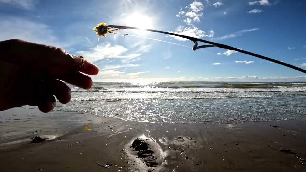 FUERTE TEMPORAL DE PONIENTE CON MUCHA ACTIVIDAD SARGO Y HERRERA