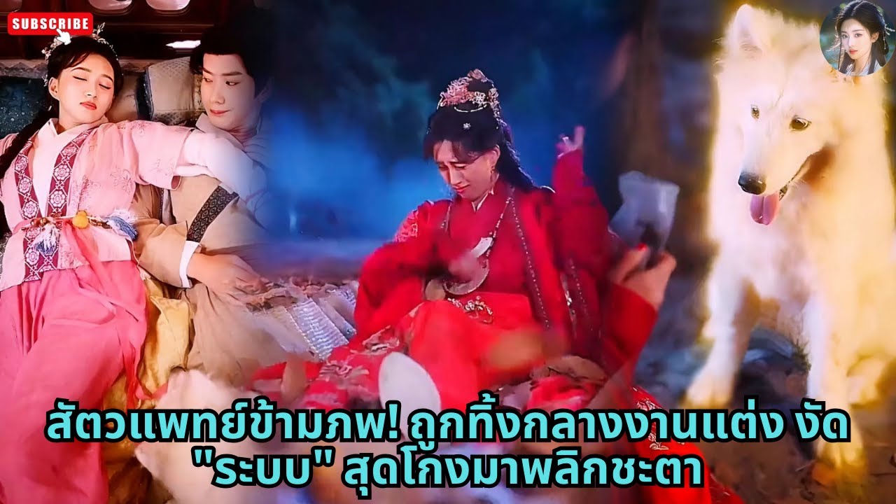 [ซีรีส์จีน] สัตวแพทย์ข้ามภพ! ถูกทิ้งกลางงานแต่ง งัด 
