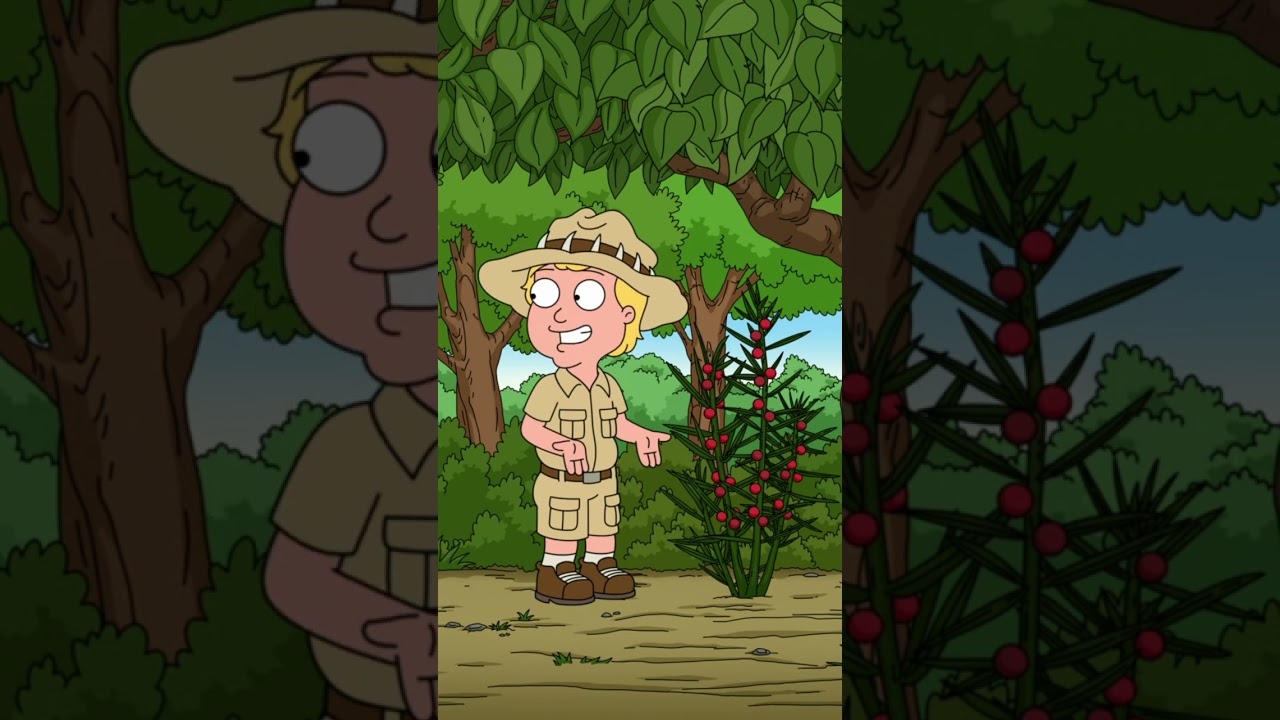 Australian Peter
