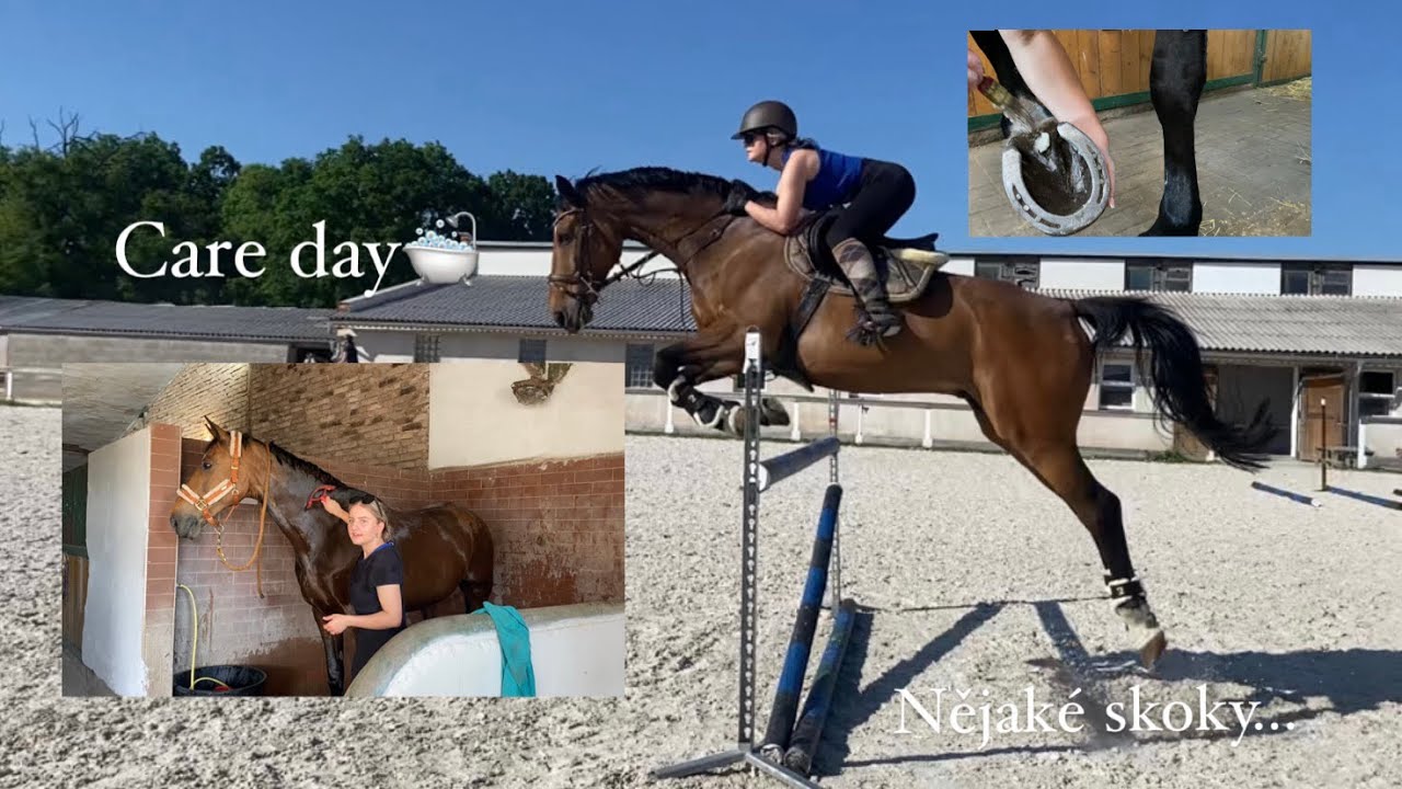 Care day o Fufíka, nějaké skůčky//vlog #4