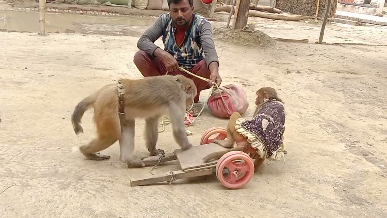9 अगस्त 2024