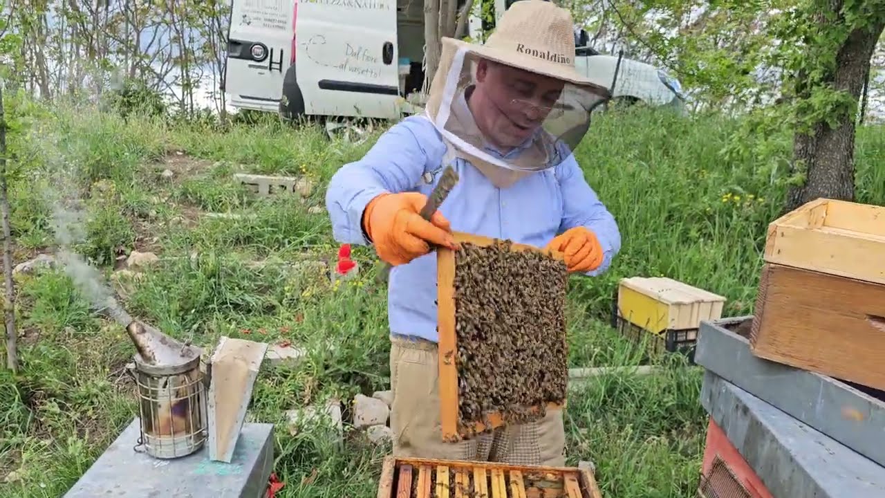 Apicoltura 2025: avanti con i melari e le nuove regine!