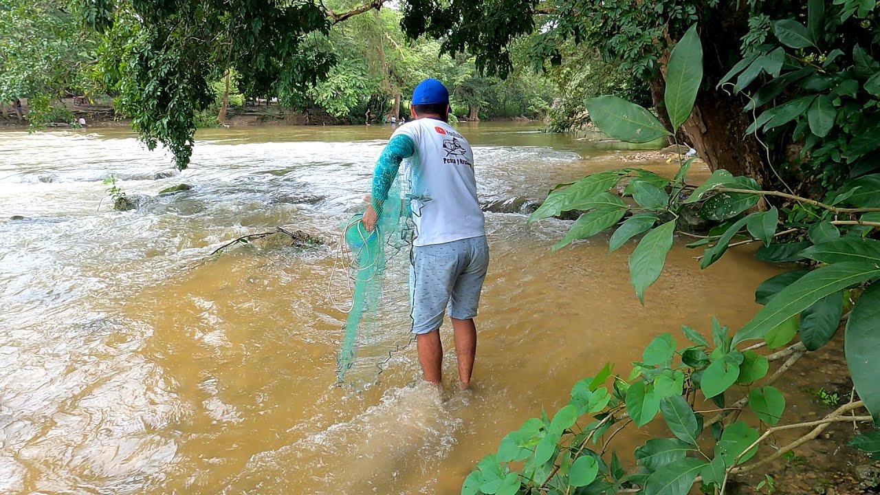 Atarrayazos Llenos de Muchos Peces Gran Pesca y Cocina