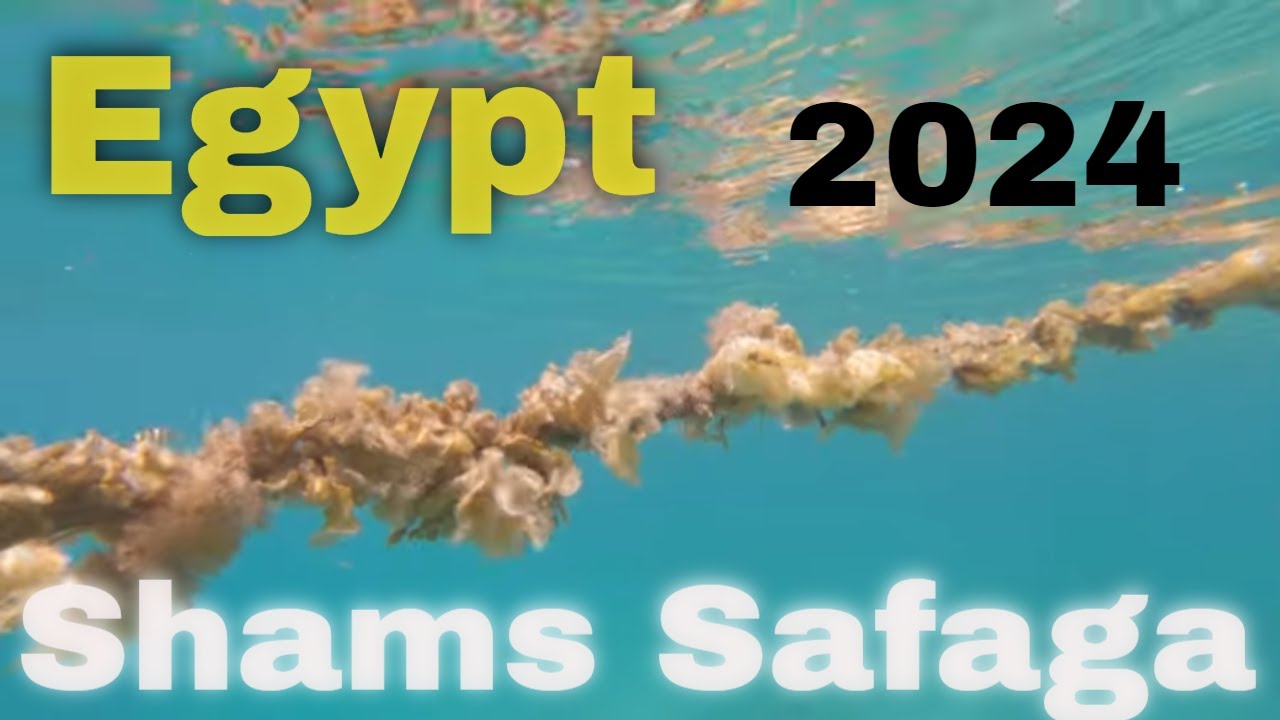 Shams Safaga Resort Hurghada 2024 | Letíme do Egypta!