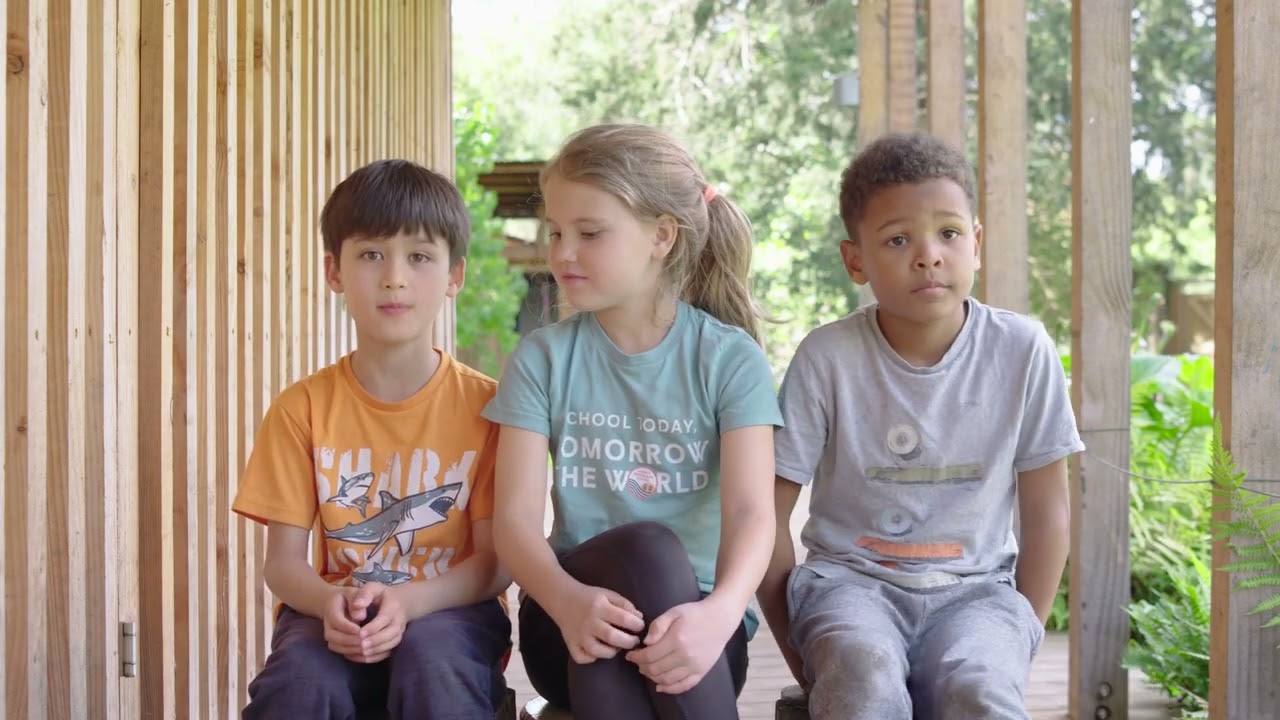 Liberty Woodland School, Hear from our Primary Students