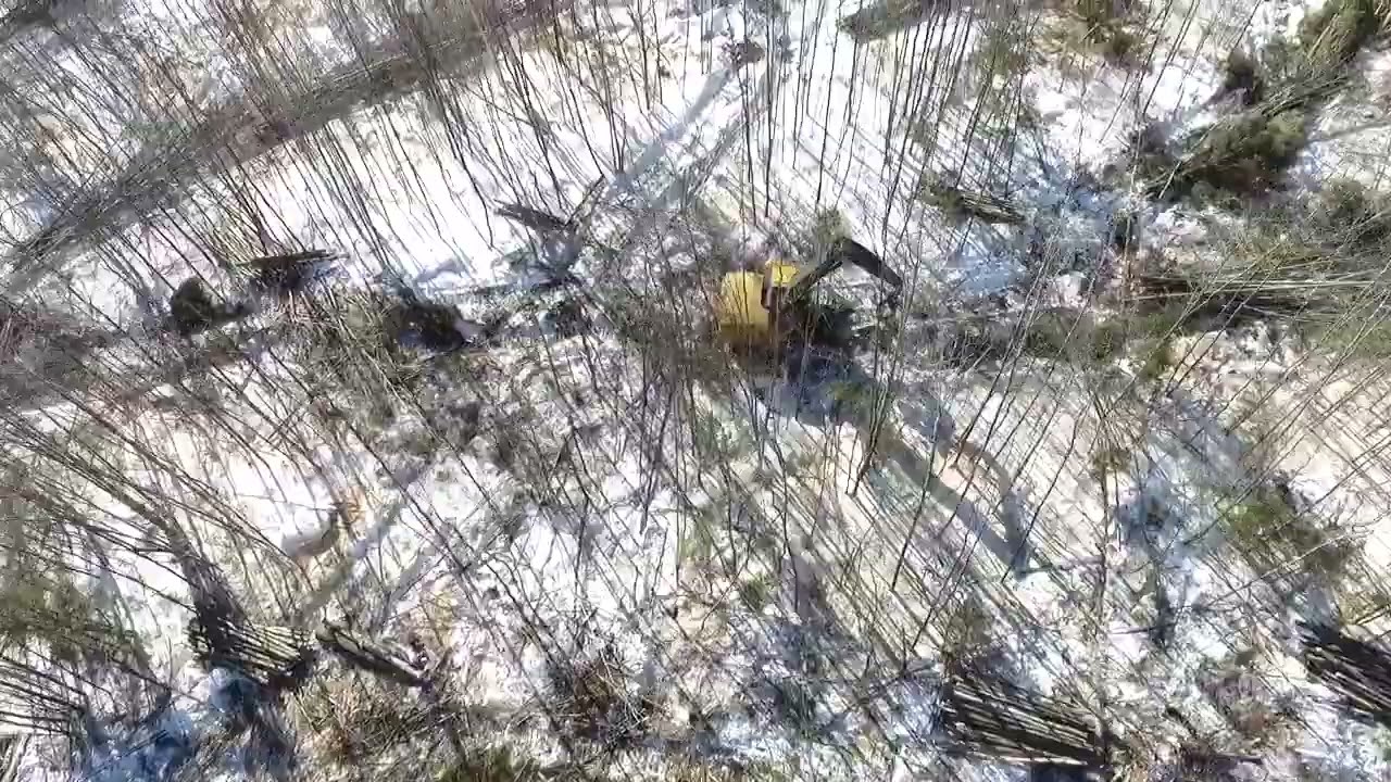 Aerial view of one of our cuts. #tigercat #maine #logging #forestry #h855E #drone 