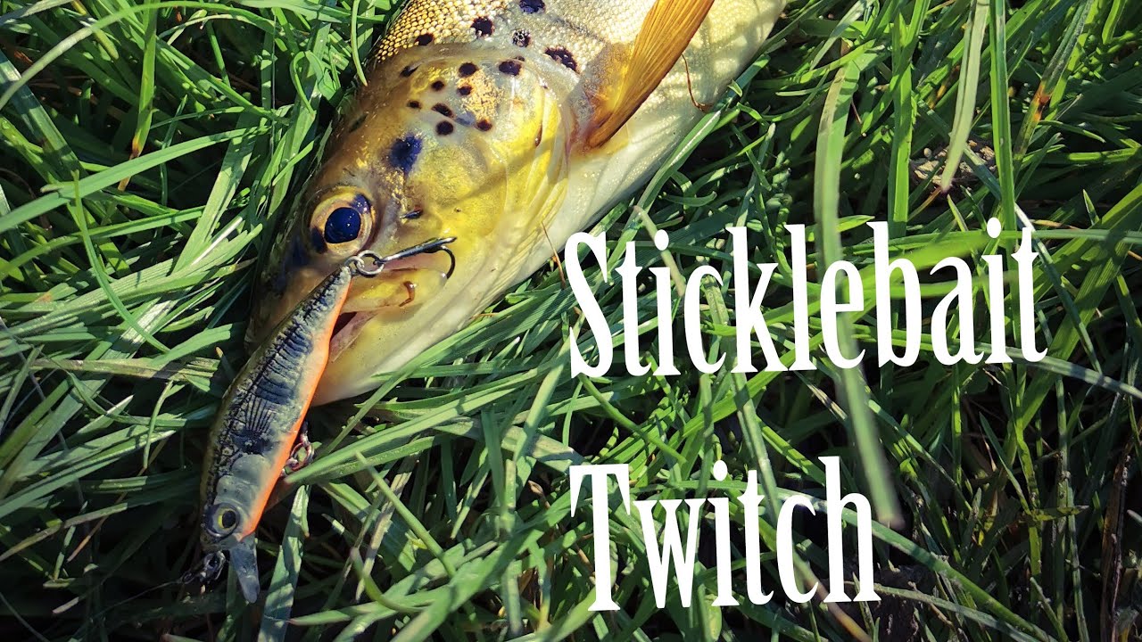 Fishing for Brown Trout with the Sticklebait Twitch
