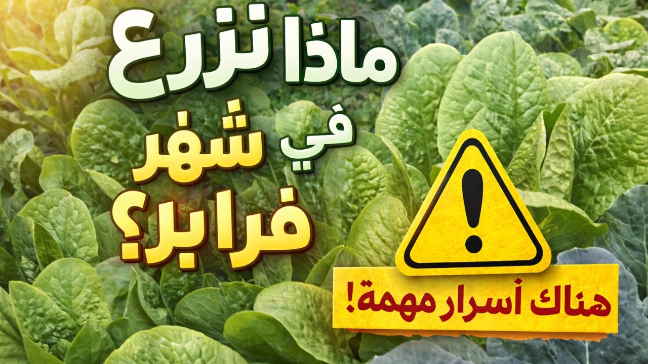 Что сажать в феврале? Секреты успешной посадки с самого начала сезона 🌿
