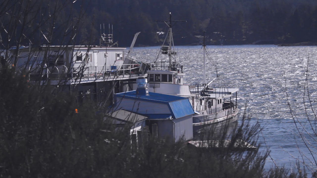 Windy on Sooke Harbour