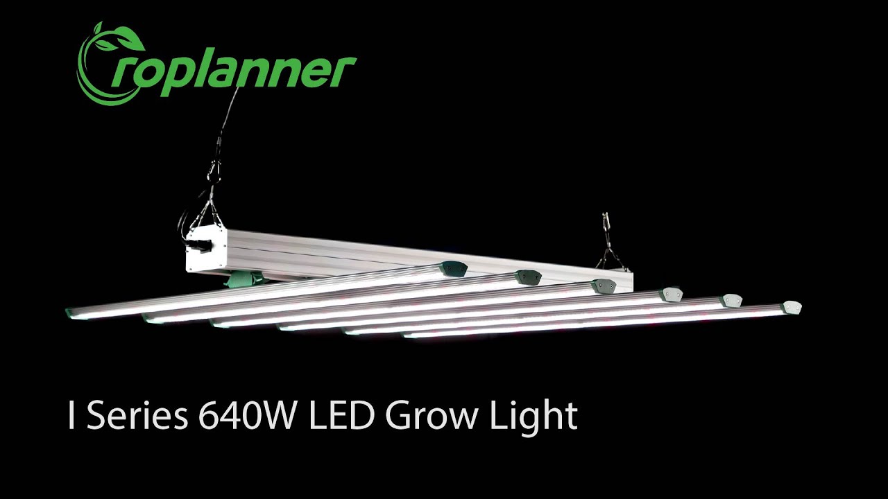 Groplanner I 640W светодиодный светильник для выращивания растений, тест и обзор
