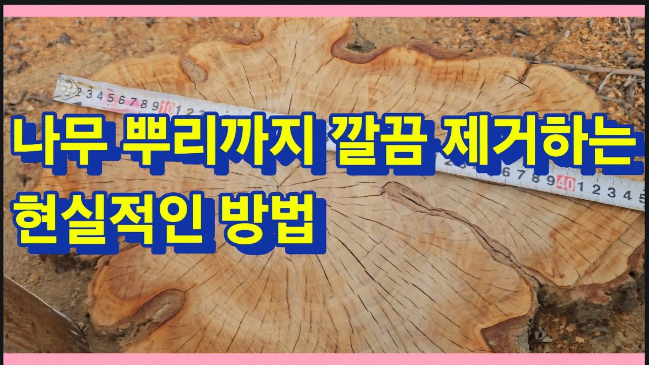 나무 뿌리까지 깔끔 제거하는 현실적인 방법(농사의신)