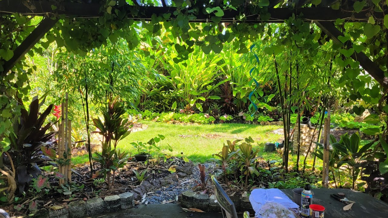 September 2022 Tropical Garden Tour - The Carrington Jungle