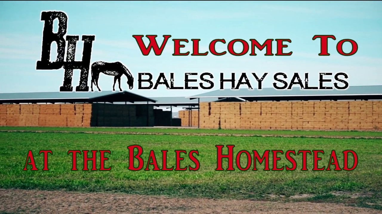 Bales Hay Farm and Ranch Store