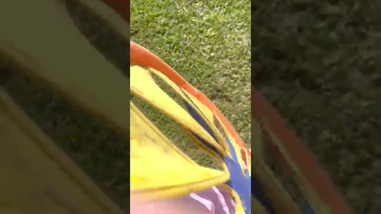 Husky plays with GIANT frisbee!!