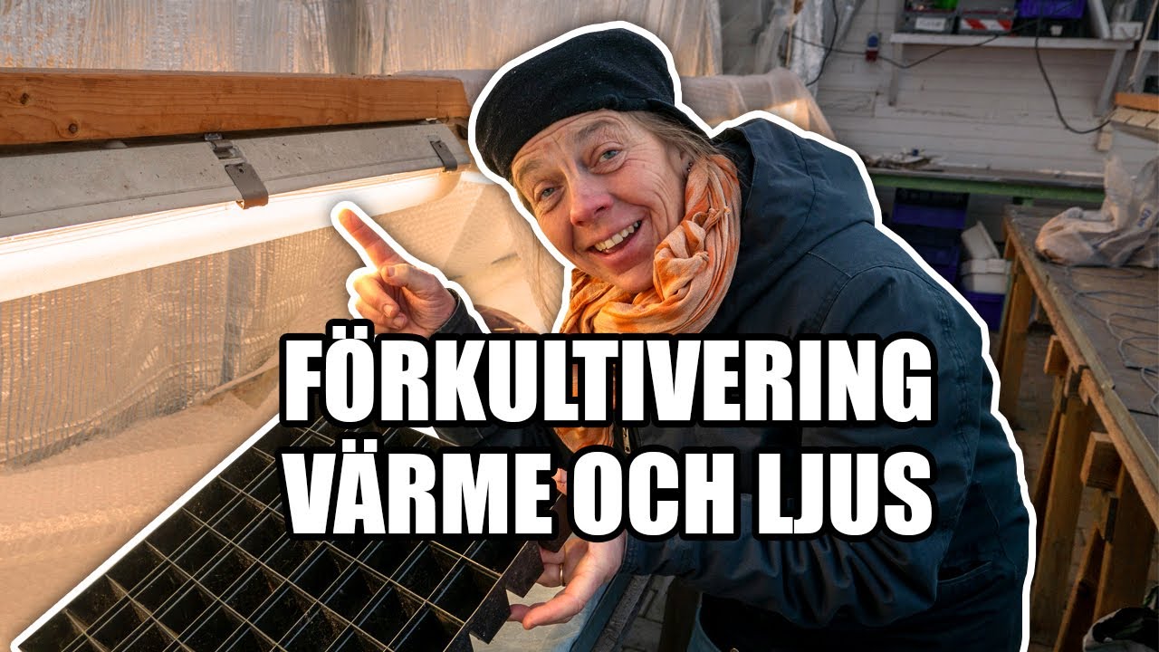 Förkultivering Värme & Ljus - Kosters Trädgårdar