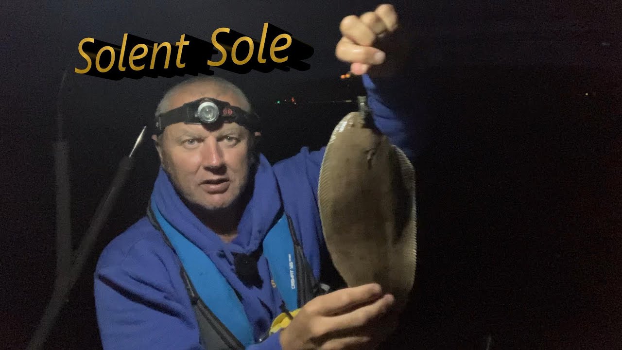 Solent Sole