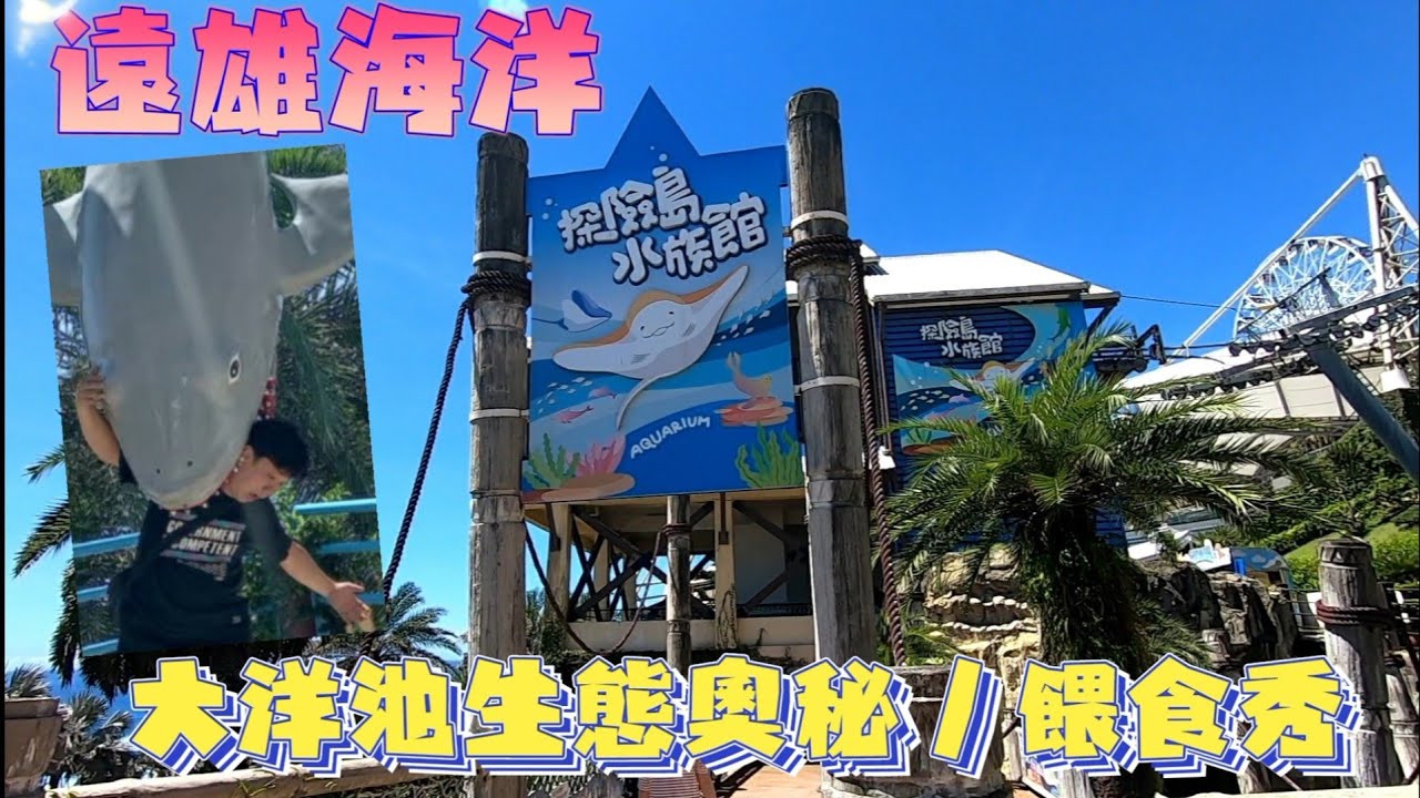 來去＜探險島水族館＞看海洋生物療癒心靈/海底隧道驚豔一夏