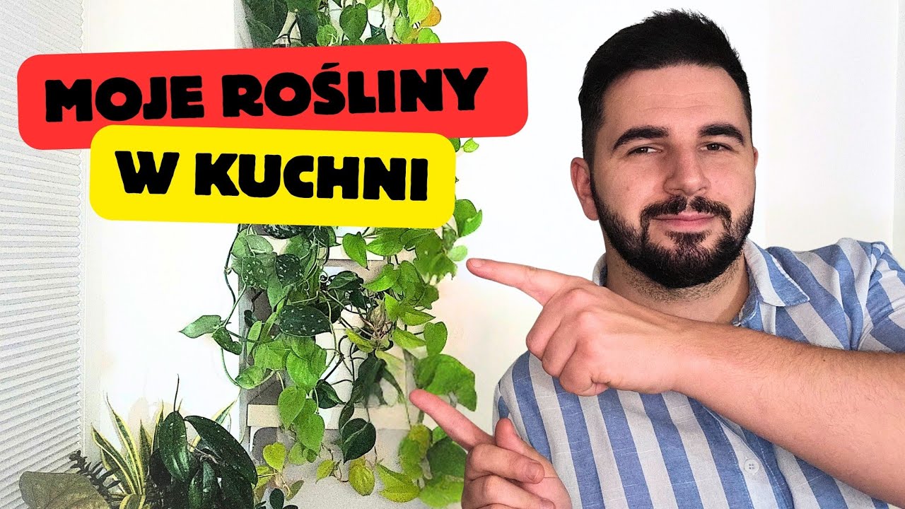 Jak Rosną Moje Rośliny W Kuchni ❓️