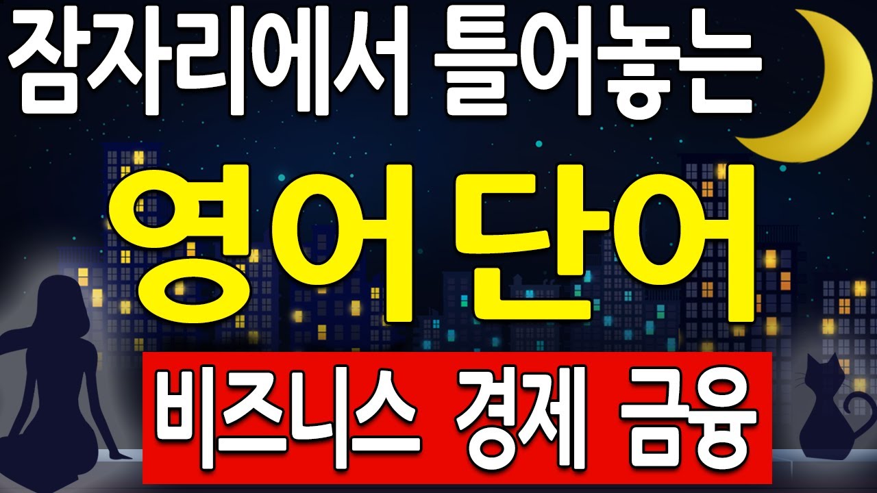 미국 회사에서 매일 쓰는 비즈니스 영어 단어 211개 자면서 영어듣기  (경제 영단어,  금융영어 포함)