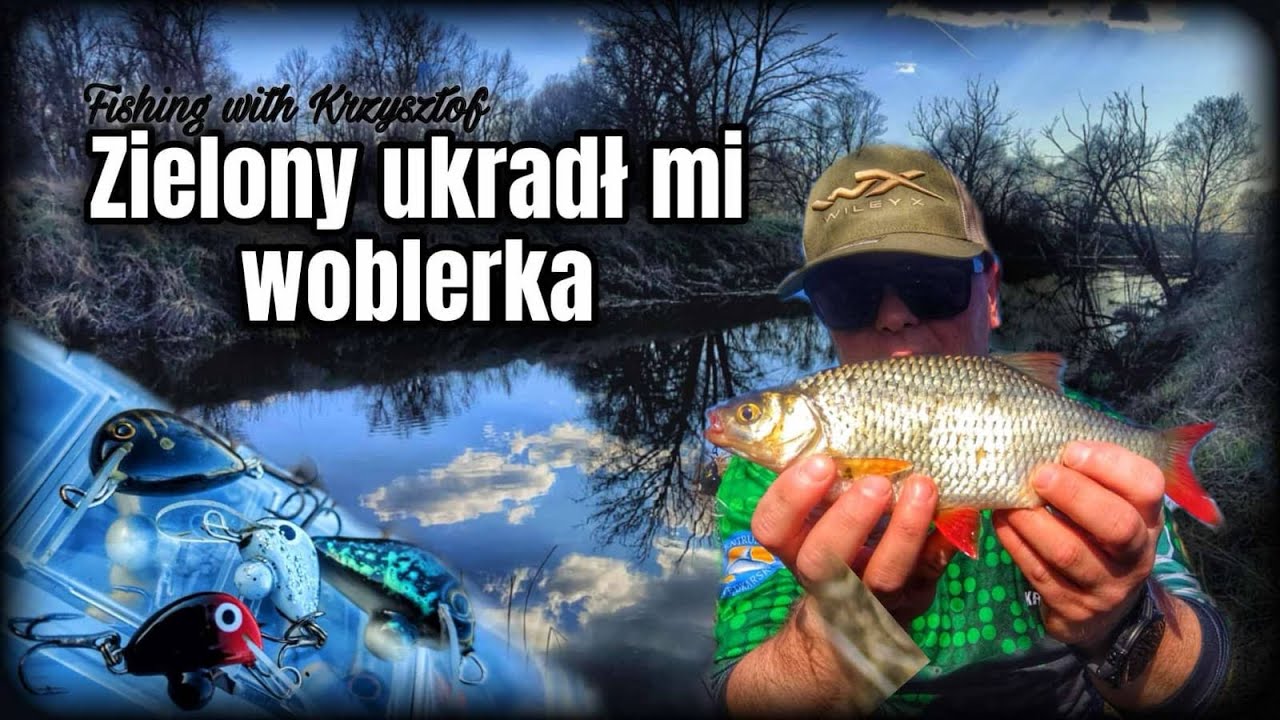 Zielony ukradł mi woblerka