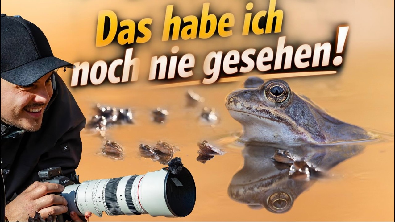Das habe ich noch nie erlebt! Geniale Bilder dank 400 Fröschen beim Laichen!
