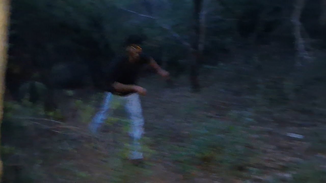 HORROR FOREST.  VLOG