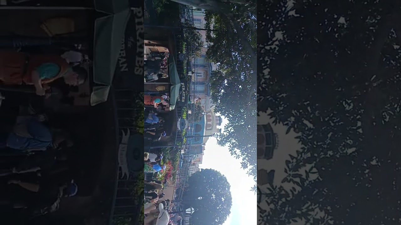 It's a theme park talk about Disneyland resort and have good tips and advice too 