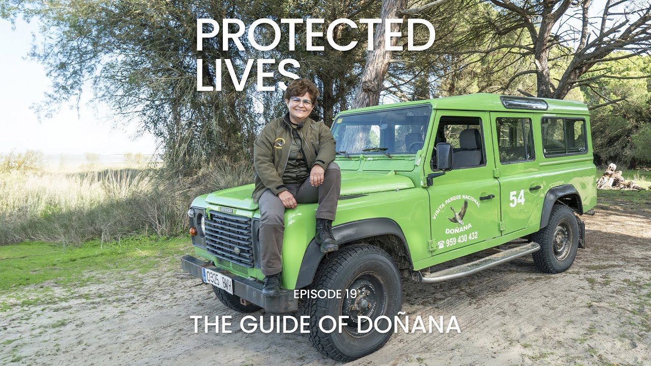 THE GUIDE OF DOÑANA. Episode 19
