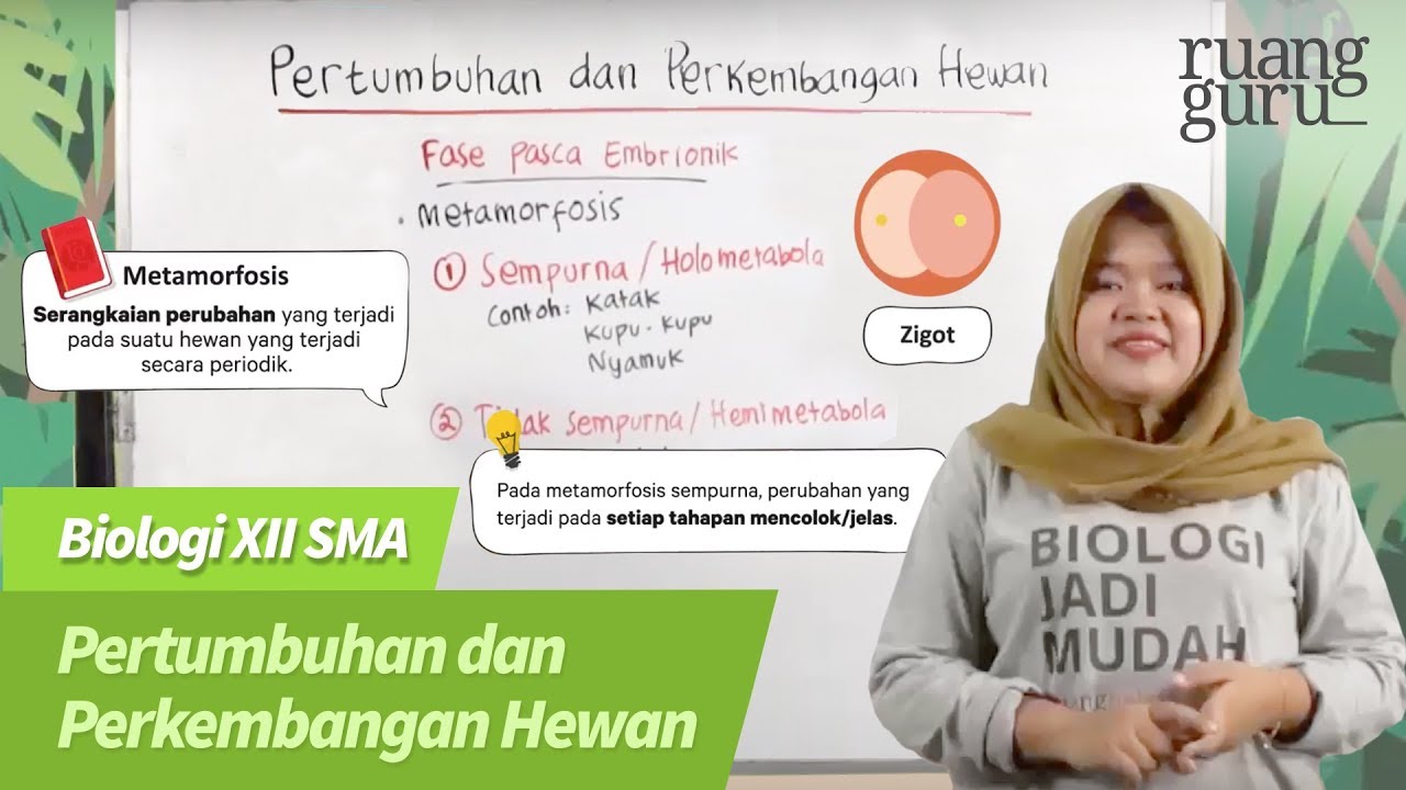 ruangbelajar - Biologi XII SMA - Pertumbuhan dan Perkembangan Hewan | bimbel online