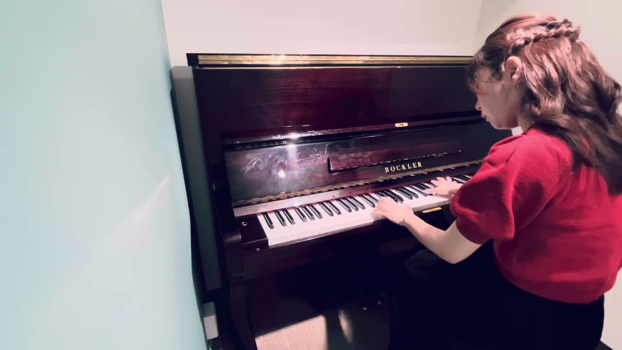 【通し】PianoSonata No.2  R.Schumann