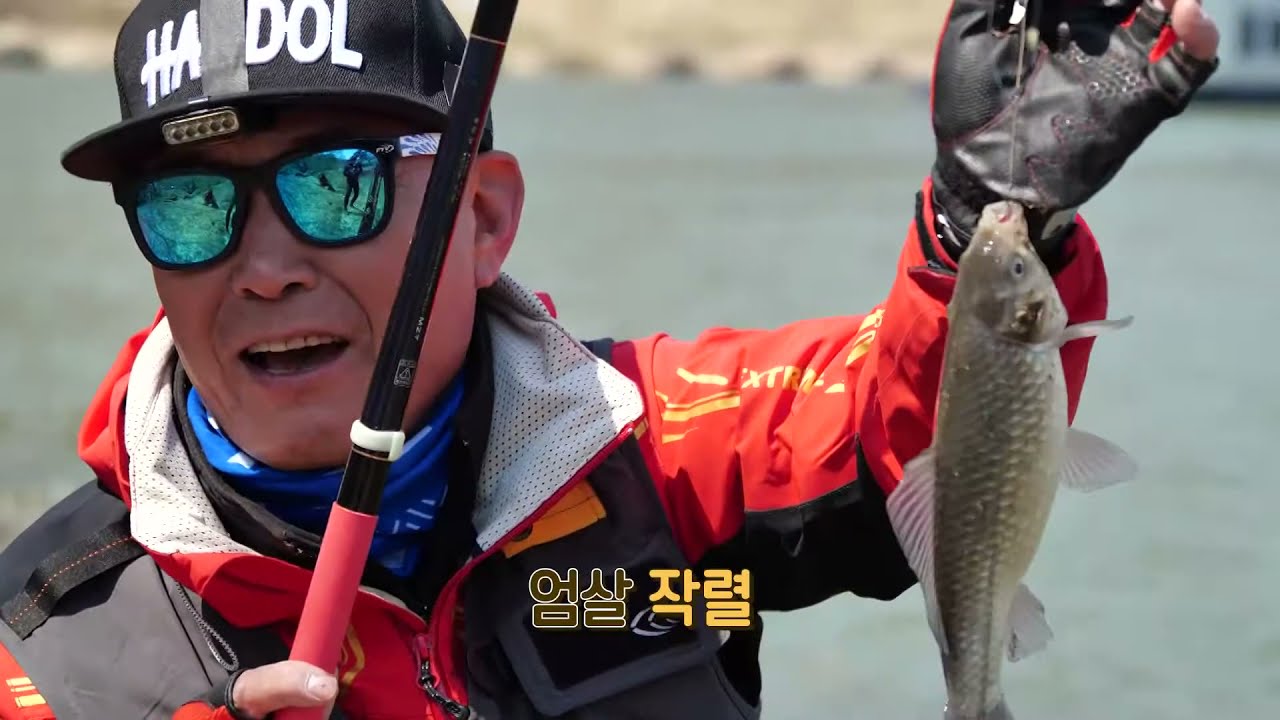 FTV월만사