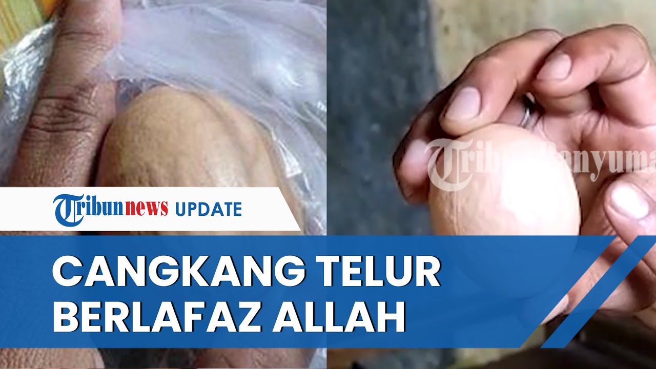 Heboh! Ada Lafaz Allah pada Cangkang Telur Ayam di Banjarnegara, Pemilik: akan Saya Simpan