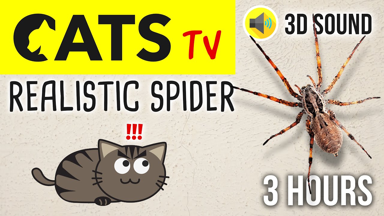 CATS TV - Realistic Spider 🕷3 HOURS (Video Game for Cat)