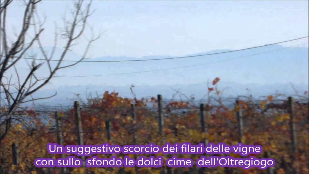 Le colline dove nasce l'Ovada DOCG