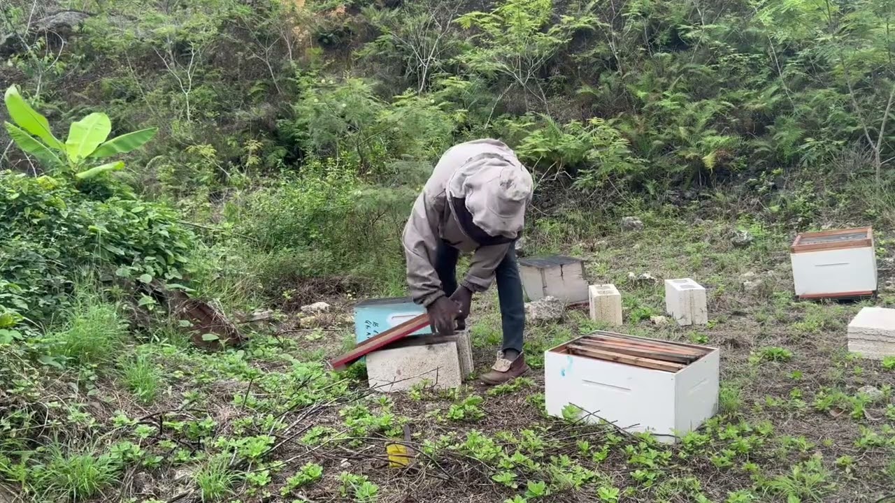 Setting Up A New Apiary Site 