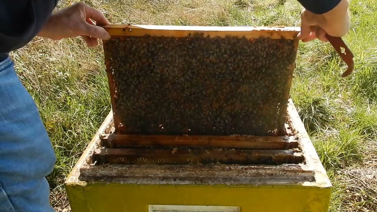 Ruimte geven in het voorjaar