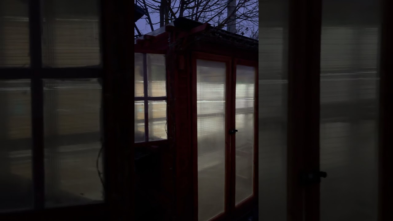 C.C major - Day starts in aviary