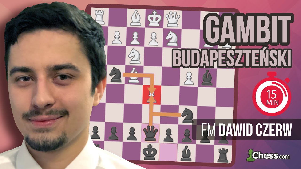 Szachy z Dawidem: 