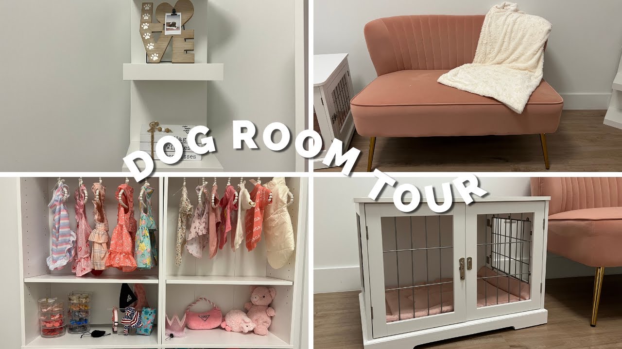 Setting up and decorating my dogs room!