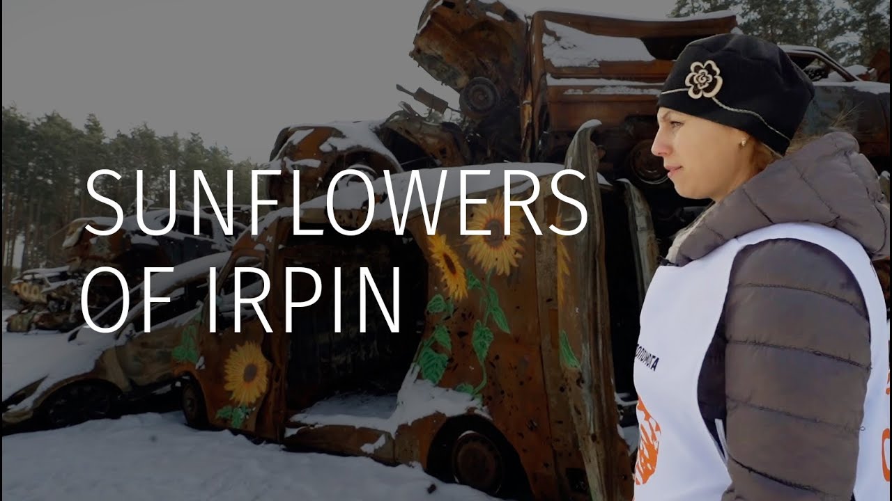 Sunflowers of Irpin