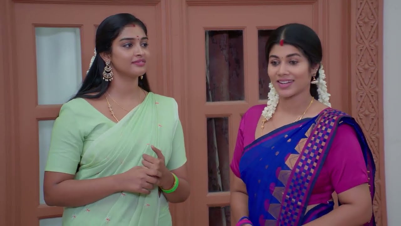 Deepa Helps Ramya Express Her Love - Karthigai Deepam - Full ep 480 - Zee Tamil - 16-May-204