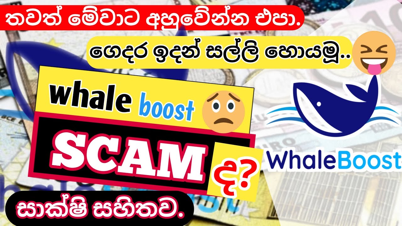 whaleboost scam ද?|ගෙදර ඉදියම සල්ලි දෙන ඇප් එක🥲🤣|2023|MC world 🌎