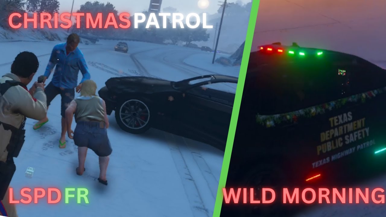 Holiday Highway Patrol | Christmas DPS Shift