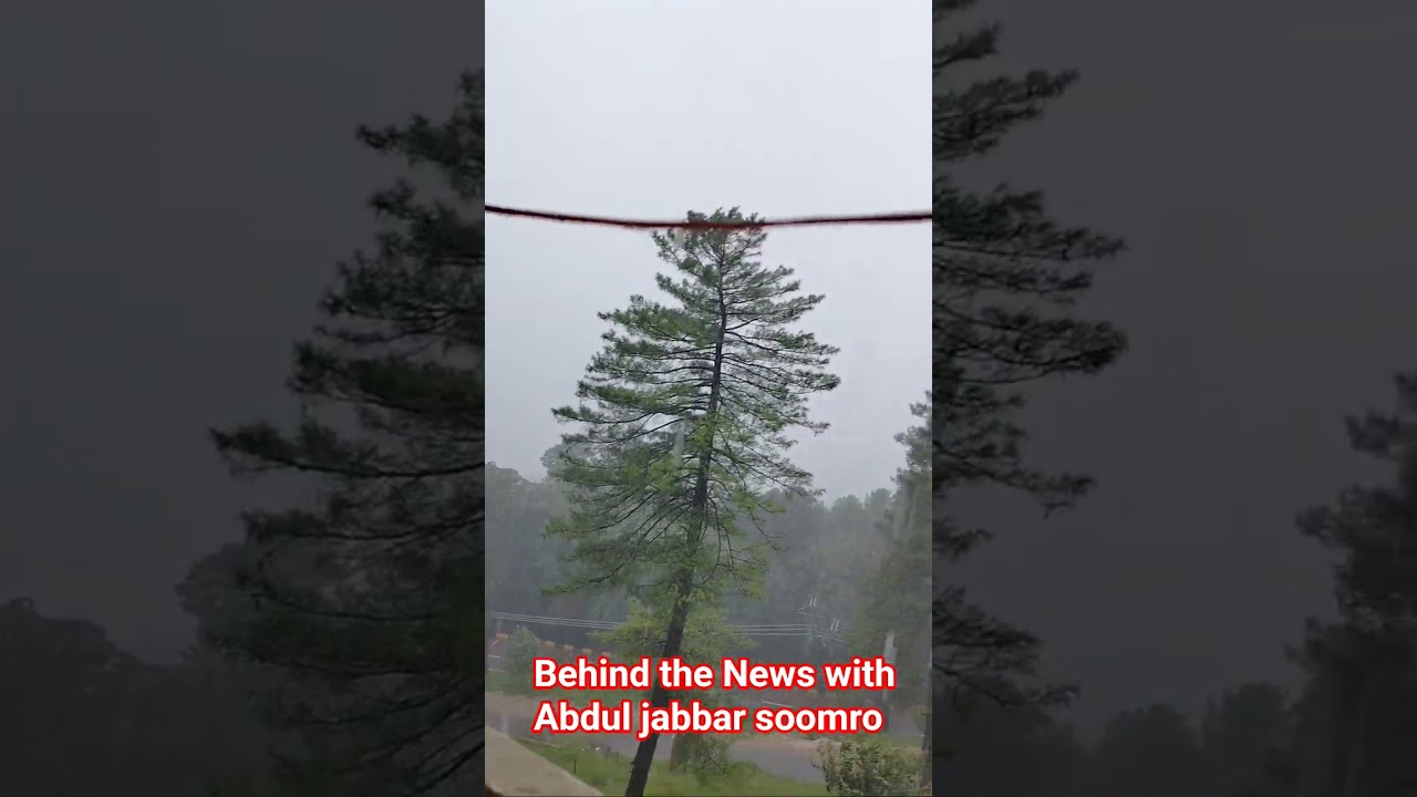 murree live update rain 🌧️ # #trendingshorts #abduljabbarsoomro #travel #murree #urduhindi