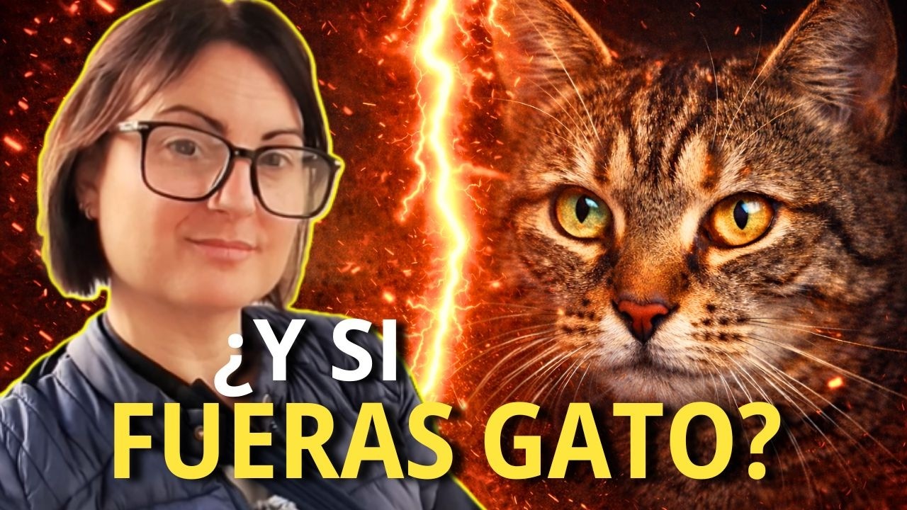 Vive y Siente 10 Minutos Como un GATO - La Ciencia Real Detrás de Sus 5 (¿o más?) Sentidos