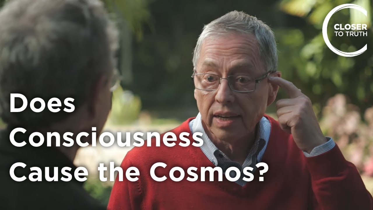 Lothar Schafer - Does Consciousness Cause the Cosmos?