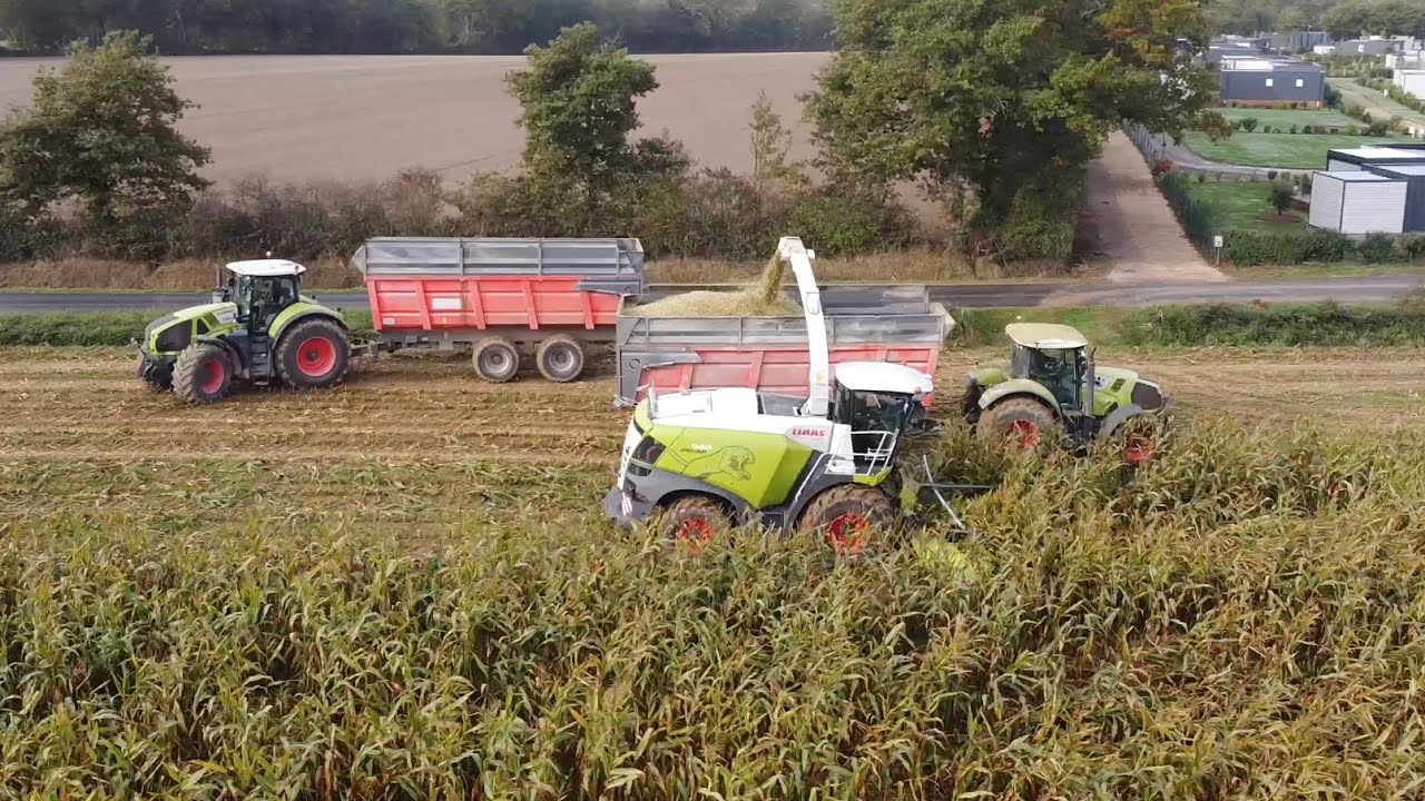 Ensilage de maïs 2021 !