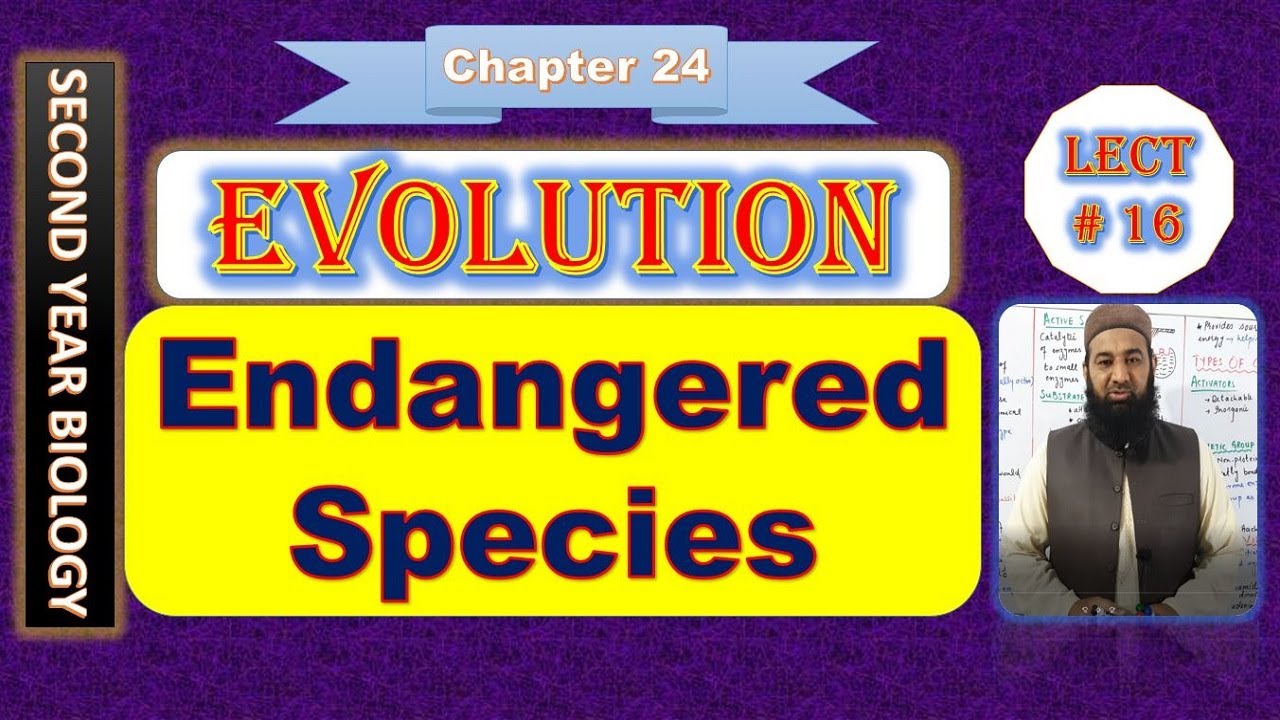 Biology Chapter 24 Evolution lecture No.16 Factors affecting gene frequency